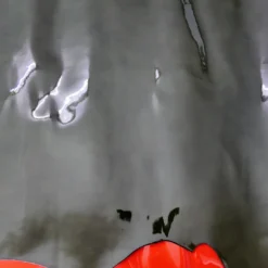 lakovana prirodna koža 0074