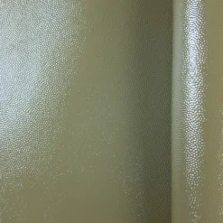 Koža sa printom 0016