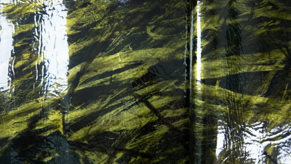 Koža sa printom 0086